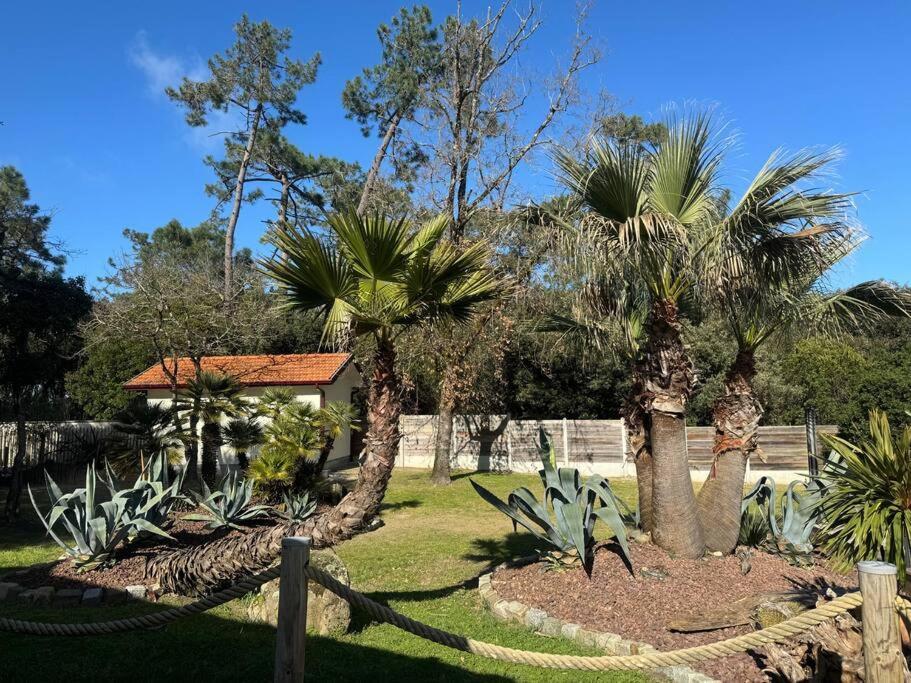 Villa Le Chai De L'ocean - Soulacaise A 100m Piscine Jardin 1400m2