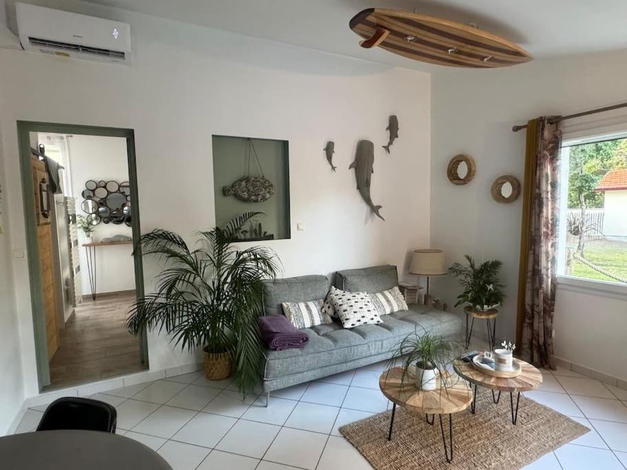 Villa Le Chai De L'ocean - Soulacaise A 100m Piscine Jardin 1400m2 Soulac-sur-Mer