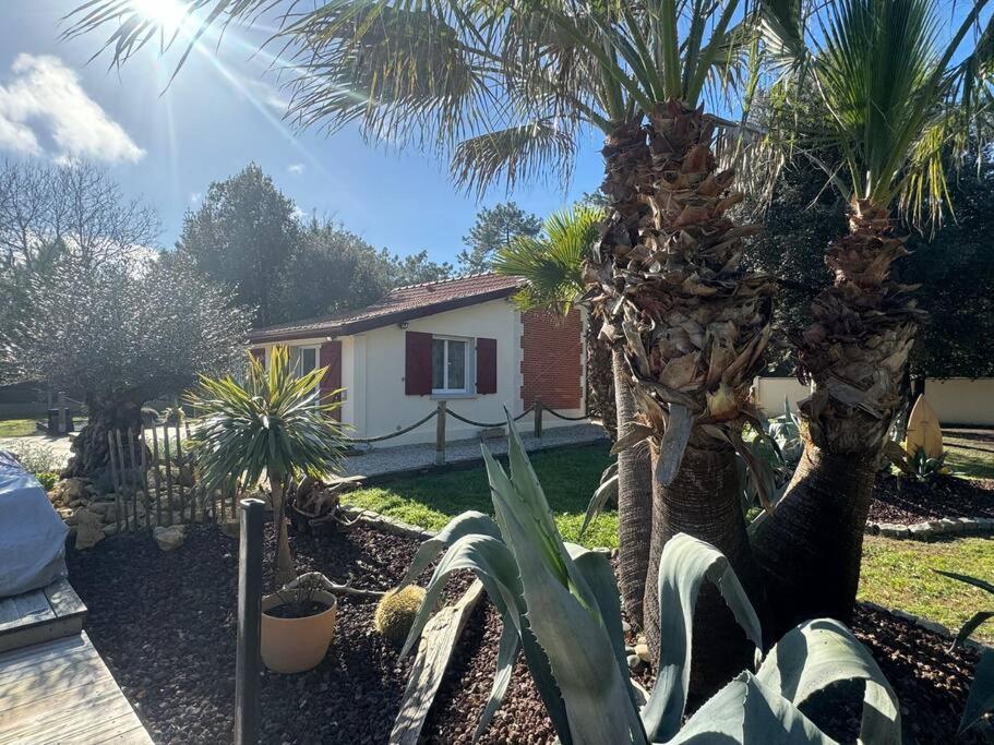 Le Chai De L'ocean - Soulacaise A 100m Piscine Jardin 1400m2 Villa Soulac-sur-Mer
