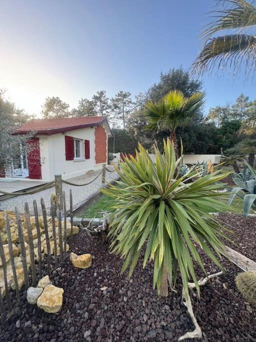 Le Chai De L'ocean - Soulacaise A 100m Piscine Jardin 1400m2